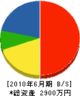 藤田組工務 貸借対照表 2010年6月期