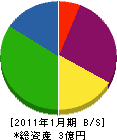 雷電工業 貸借対照表 2011年1月期