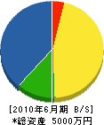 男枝工務店 貸借対照表 2010年6月期