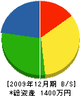 溝川造園 貸借対照表 2009年12月期