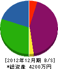 関電気商会 貸借対照表 2012年12月期