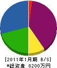 植木舗道 貸借対照表 2011年1月期 植木舗道 貸借対照表 2011年1月期