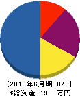 姫城電設 貸借対照表 2010年6月期