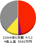 澤田工務店 損益計算書 2009年6月期