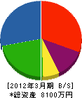 浜松共同設備 貸借対照表 2012年3月期