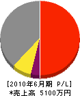 大平産業 損益計算書 2010年6月期 大平産業 損益計算書 2010年6月期