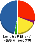 堀脇純建設 貸借対照表 2010年7月期