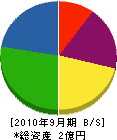 田山大理石 貸借対照表 2010年9月期