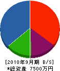 埼玉文化産業 貸借対照表 2010年9月期