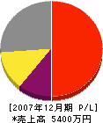 枝川電工 損益計算書 2007年12月期