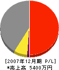 林（佐）組 損益計算書 2007年12月期