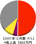 ＊田塗装店 損益計算書 2007年12月期