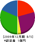 ミタキハウス 貸借対照表 2009年12月期