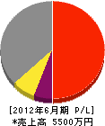 渡辺工業 損益計算書 2012年6月期