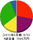 大翔開発 貸借対照表 2012年6月期