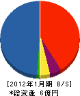 柳澤電機 貸借対照表 2012年1月期