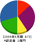 島ノ江建設 貸借対照表 2009年6月期