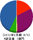 芳賀総合システム 貸借対照表 2012年6月期
