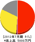 田平プロパン商会 損益計算書 2012年7月期