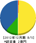 西沢産業 貸借対照表 2012年12月期