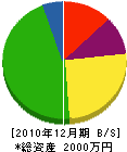 糸永造園 貸借対照表 2010年12月期
