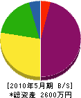 藤元電気水道設備 貸借対照表 2010年5月期
