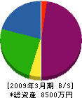 川平工業 貸借対照表 2009年3月期