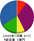 東岸和田総合開発 貸借対照表 2009年7月期