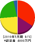 鎌田商会 貸借対照表 2010年5月期