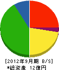 敦賀協栄建築 貸借対照表 2012年9月期