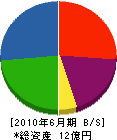 木村硝子店 貸借対照表 2010年6月期