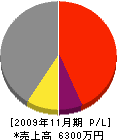 上島建設工業 損益計算書 2009年11月期