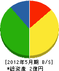 西川誠建設 貸借対照表 2012年5月期