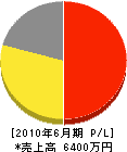 アセント 損益計算書 2010年6月期