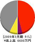 田中建築 損益計算書 2009年3月期