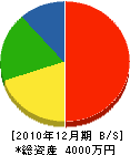 晃建築所 貸借対照表 2010年12月期