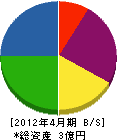 札幌制御システム 貸借対照表 2012年4月期