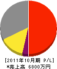 タシマ電機 損益計算書 2011年10月期