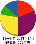 薄田畳製作所 貸借対照表 2009年12月期