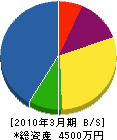 姫路文化サービス 貸借対照表 2010年3月期