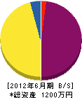 あさひ工務店 貸借対照表 2012年6月期