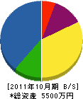 岩田造園 貸借対照表 2011年10月期