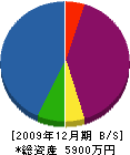 横井組 貸借対照表 2009年12月期