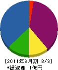 岡田建工 貸借対照表 2011年6月期