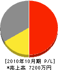 三栄電機工業 損益計算書 2010年10月期