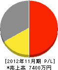 埼玉小川産業 損益計算書 2012年11月期