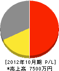 田島建設 損益計算書 2012年10月期