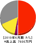 杉政建設 損益計算書 2010年6月期