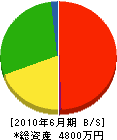 藤澤電設工業 貸借対照表 2010年6月期