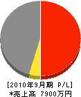 日本土木 損益計算書 2010年9月期
